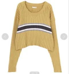 GYDA ジェイダ ラインショートニットトップス