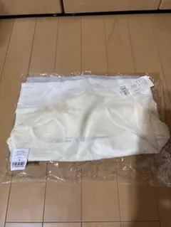 Item thumbnail for item 3bce829b-352c-4ff9-bac2-055f51dd3e2c