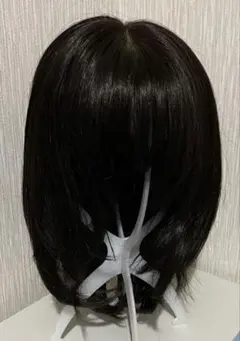国家試験用24-12-24 6体 ao-j様取り置き中 国家試験用24-12-24 6体 ao-j様取り置き中 - メルカリ