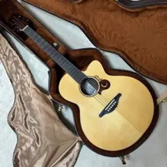 美品/メンテ済】Breedlove Artista エレアコ マートル単板 - メルカリ