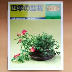 Item thumbnail for item 83d8a047-b182-4079-bd44-0ba1952eb8c7