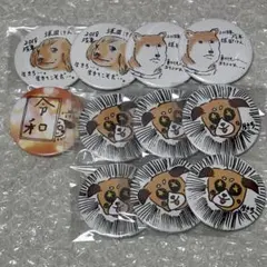 浦島坂田船 となりの坂田 あほの坂田 缶バッジ さかわん うらさか シークレット