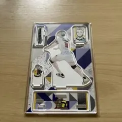 2026年最新】飯綱掌 vリーグの人気アイテム - メルカリ
