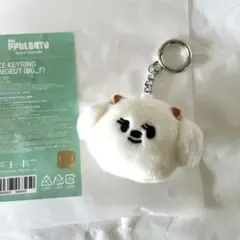 初期 PPULBATU プルバトゥ キーリング バムグッ TXT ボムギュ プルバトゥ バムグッ キーリング ボムギュ txt 初期 - メルカリ