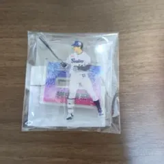 東京ヤクルトスワローズオンラインくじ岩田幸宏ミニアクリルスタンド E賞