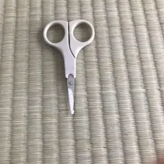 Item thumbnail for item 790d59e5-1927-4426-acb8-ea744604c596