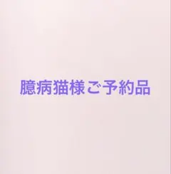 臆病猫様ご予約／2点セット