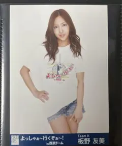 板野友美生写真大小31枚入り 2025年最新】ともちん 板野友美 akb48卒業記念 写真集の人気アイテム