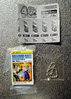 アレビーブイ様 リクエスト 2点 まとめ商品