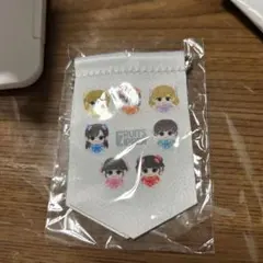 FRUITS ZIPPER ミニフラッグ キーホルダー