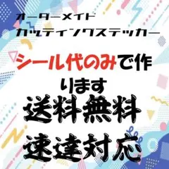 オーダーカッティングステッカー　枚数割　名前入り制作　防水タイプ チーム名
