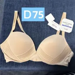 トリンプ　ブラジャー　Ｄ75 新品未使用　タグ付きのサムネイル