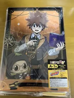 家庭教師ヒットマンREBORN カミアニくじA賞 A4アクリルパネル 沢田綱吉