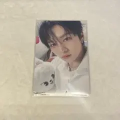 straykids ペンミ　入場特典　トレカ　リノ