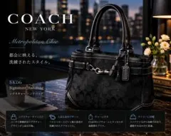 極美品】COACH アシュレイレザーキャリーオールバッグ 2way y2k - メルカリ