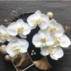 【ほぼ新品】胡蝶蘭　8輪　胡蝶蘭の髪飾り