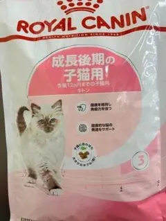 we3977 ROYAL CANIN 子猫用ドライフード 10kg - メルカリ