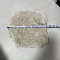 YSK様 リクエスト 2点 まとめ商品