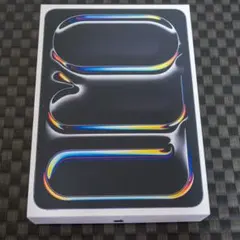 【美品】ipad pro 11インチ M4 Wifi 512GB