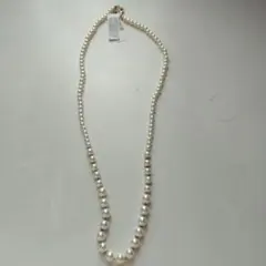 Item thumbnail for item 5faece1a-b165-414a-ab19-9d6a9aafc867