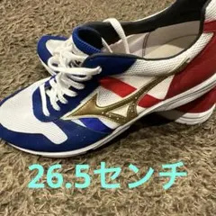 Mizuno ウェーブエンペラージャパン26.5センチ