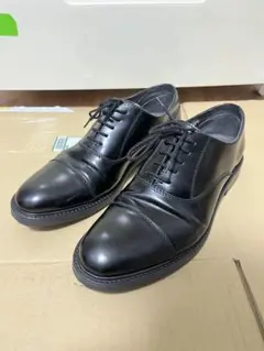 Item thumbnail for item 67a12a6f-b51e-473d-ac4c-428c5ab32f59