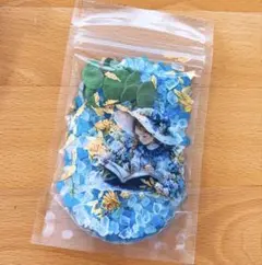 青の魔法使い☆プリンセスソルト