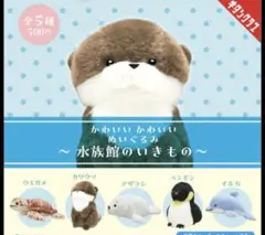水族館いきもの　ガチャ