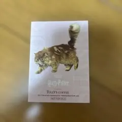 ハリー・ポッター タリーズ ステッカー