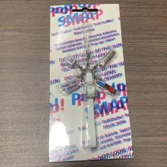 SMAPメンバー所持！1997\"ス\"コンサートツアー【非売品 3Dキーホルダー】 SMAP/1997