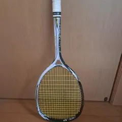 ネクシーガ70G limited