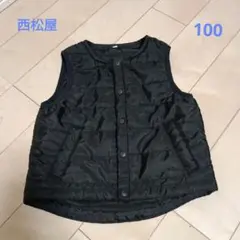ダウンベスト 100