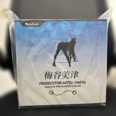 新品未開封　Party Look 梅谷美津　Another color ver