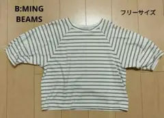 BEAMS B:MING ボーダー フリーサイズ Tシャツ