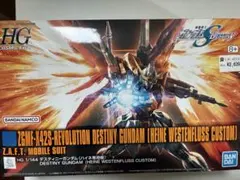 HG デスティニーガンダム (ハイネ専用機) 新品未開封