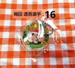 清水エスパルス ★ 梅田 透吾選手 16 ★ クリスマスキーホルダー