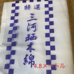 Item thumbnail for item 46c6e9b4-3c2f-46e6-af9c-1e2e17b7b296