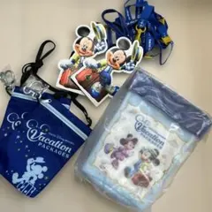 東京ディズニーリゾート バケーションパッケージグッズ5点セット
