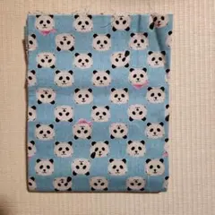 Item thumbnail for item 2f51786c-0ea6-42a8-8109-6fe697aa14a4