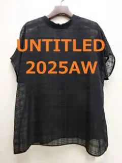 新品タグ付きUNITED ARROWS リネンライクブラウス 25SS 洗える - メルカリ