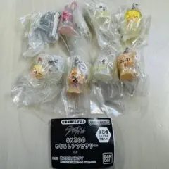 SKZOO めじるしアクセサリー　コンプリート