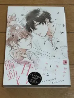 【即購入可】セブンティーンシロップス