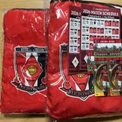 浦和レッズ　熱狂開幕ブランケット２枚セット　他