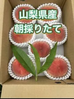 b19 山梨県　桃　家庭用　6～8玉のサムネイル