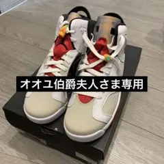 ジョーダン6レトロ24㎝