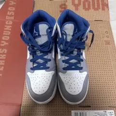 エアジョーダン true blue MID