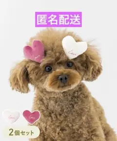 Item thumbnail for item 621523c0-9ec3-4941-af2c-8243e03257df