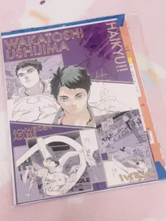 ハイキュー!!展 箔押しイラストカードコレクション 牛島若利