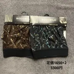 BODYWILD ボクサーパンツ M 2枚セットグンゼEZXイージーエックス