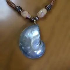 貝殻型ネックレス